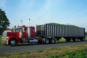 bulk truck transportation